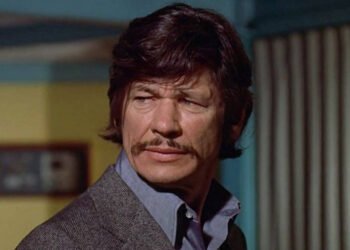 Charles Bronson Net Worth: A Detailed Overview