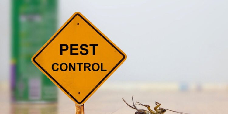 The Ultimate Guide to Pest Control: Everything You Need to Know