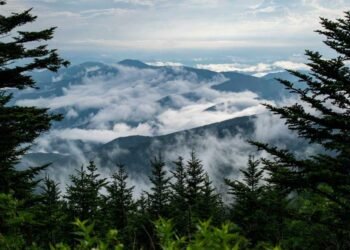 The Ultimate Guide to Planning a Family Vacation in the Smokies