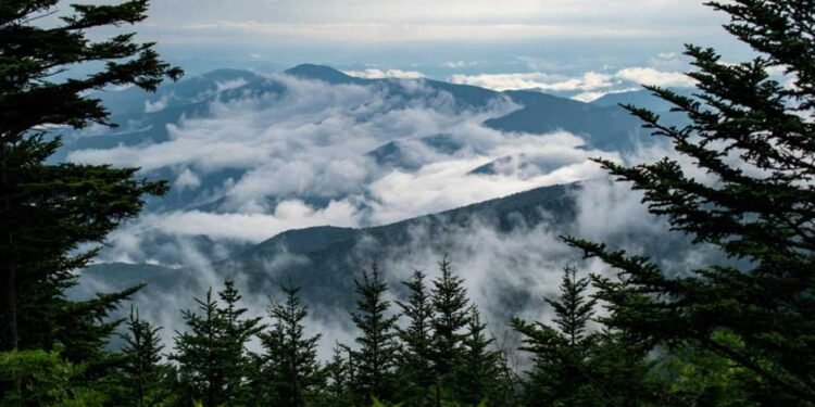 The Ultimate Guide to Planning a Family Vacation in the Smokies